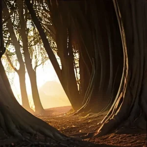 Атмосфера тепла, которая делает день глубже